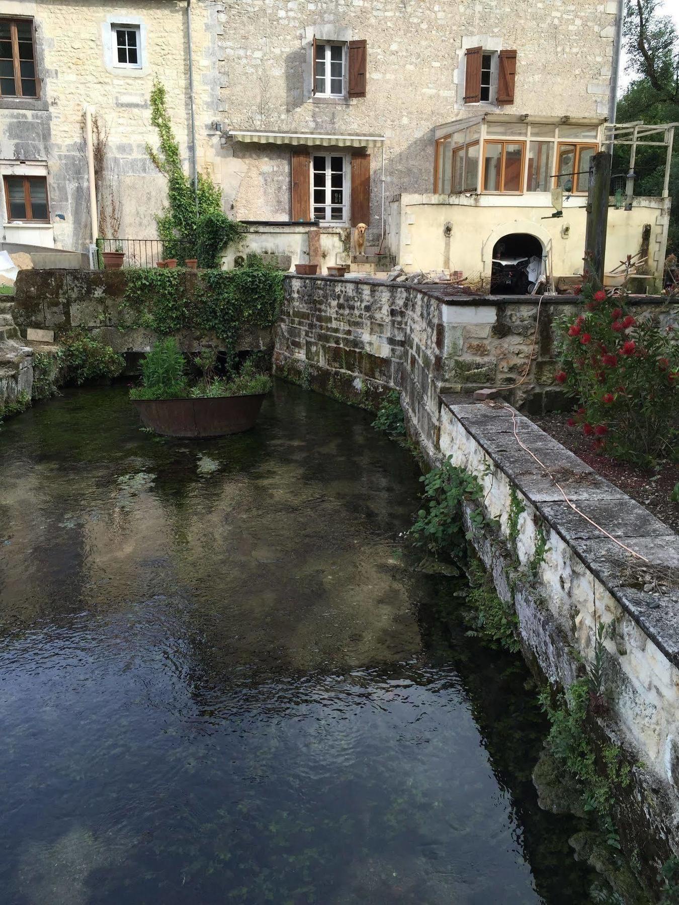 Petit Moulin De Veillard Villa Bourg-Charente Esterno foto